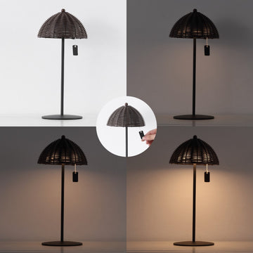 Tilly 12.75" Modern Coastal Indoor/Outdoor Wicker Shade Rechargeable/Cordless Dimmable Integrated LED Table Lamp